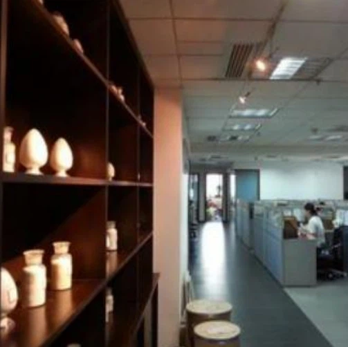 Supply Good Quality Tannic Acid CAS 1401-55-4